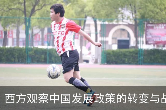 西方观察中国发展政策的转变与战略考量